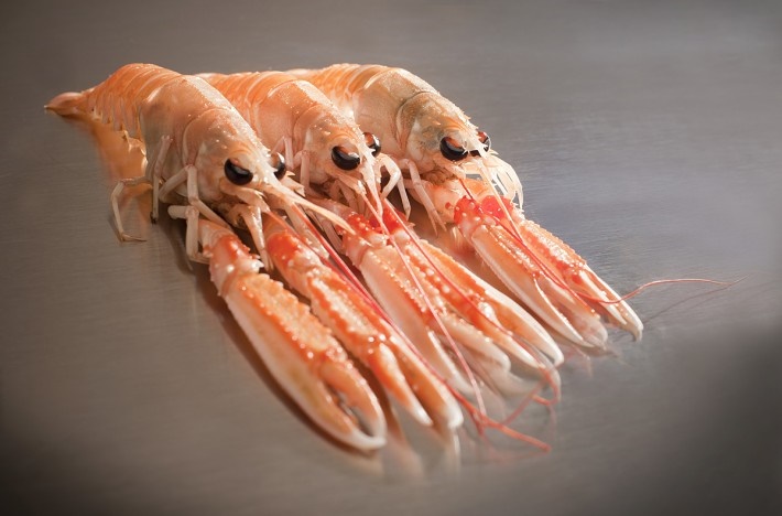 Cigala Escocia 30-50 g/pz (3) 1,250kg 4x1,5kg