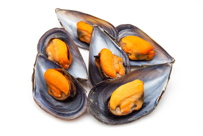 Mejillon Cocido Media Concha Galicia 60-80 pz/kg 8x400g