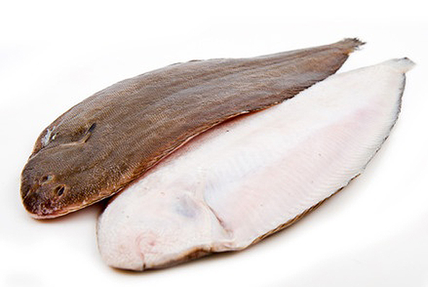 Lenguado Holanda 180-220 g/pz (H4) 5kg