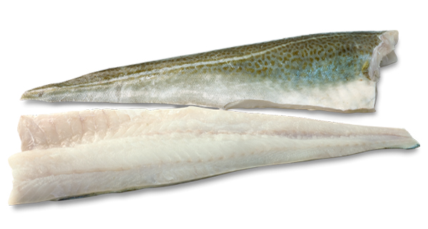 Bacalao Filete Islandia 500-1000 g/pz 11kg
