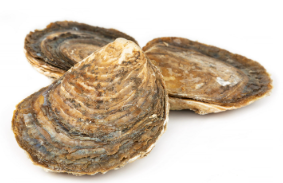 Ostra Especial Gallega C/25Un.