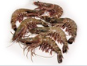 Langostino Black Tiger 50-65 g/pz (16-20) 10x1kg