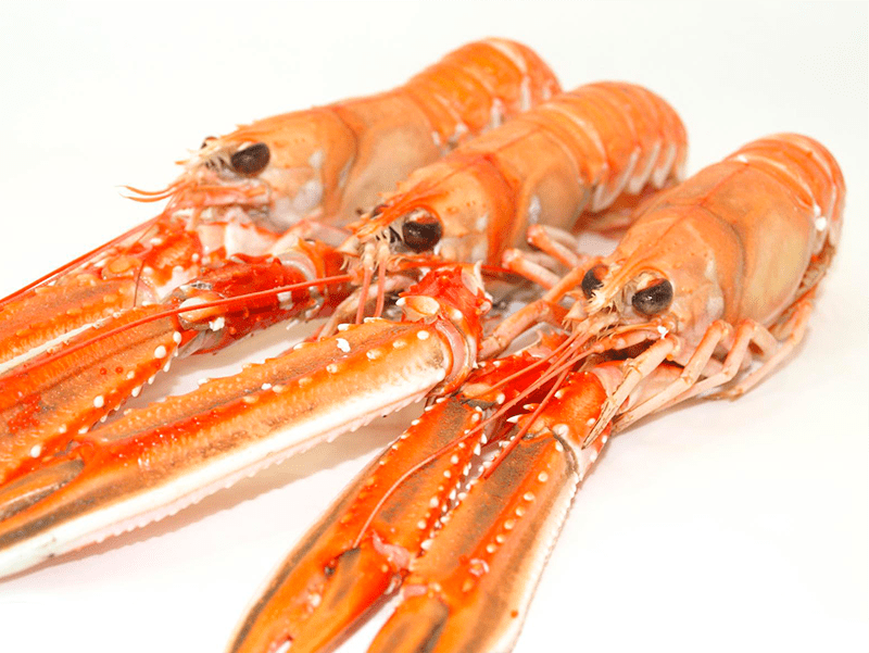 Cigala Escocia 30-50 g/pz (3) 1,350kg 4x1,5kg