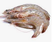 Langostino Vannamei 20-25 g/pz (40-50) 10x2kg