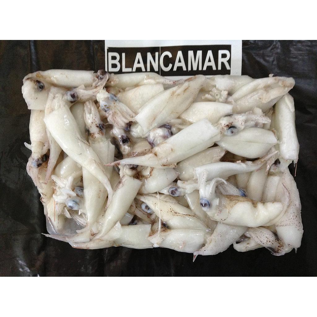 Calamar Puntilla Marruecos 10kg