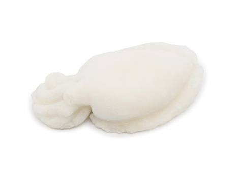 Sepia Limpia India Torry Harris 200-300 g/pz 8kg