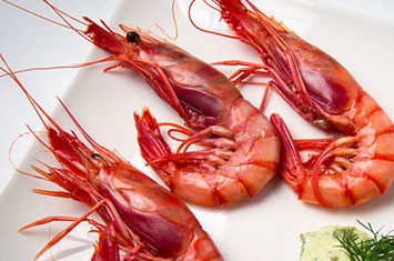 Gamba Alistada A1E 25-34 pz/kg