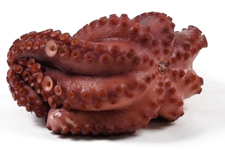 Pulpo Pata Cocida T8 150-200 g/pz 4x1,5kg