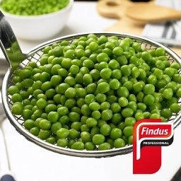 [96010028] Guisante Superfino Findus 6x1kg