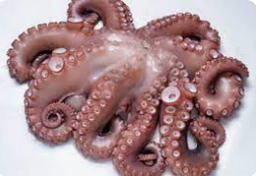 [3322327] Pulpo T3 Artesanal FAO34 8x 2-3kg/pz [vta/unidad]